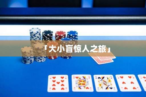 「大小盲惊人之旅」
