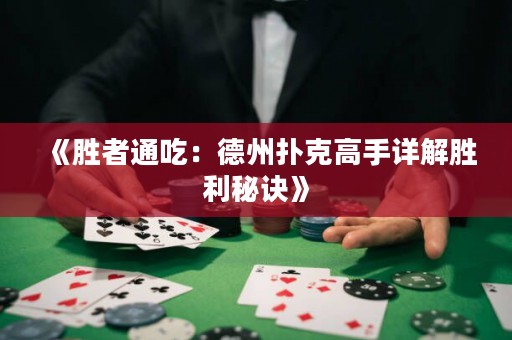 《胜者通吃：德州扑克高手详解胜利秘诀》