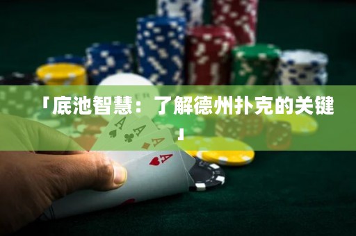 「底池智慧：了解德州扑克的关键」