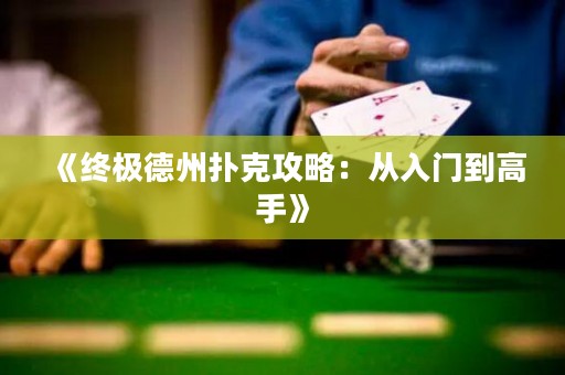 《终极德州扑克攻略：从入门到高手》