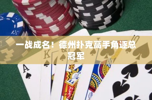 一战成名！德州扑克高手角逐总冠军