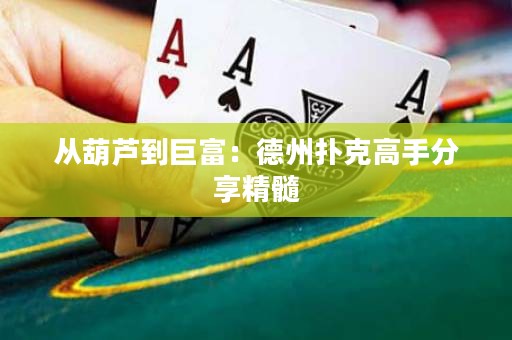 从葫芦到巨富：德州扑克高手分享精髓