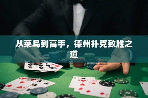 从菜鸟到高手，德州扑克致胜之道