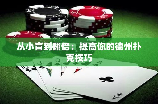 从小盲到翻倍：提高你的德州扑克技巧
