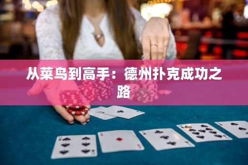 从菜鸟到高手：德州扑克成功之路