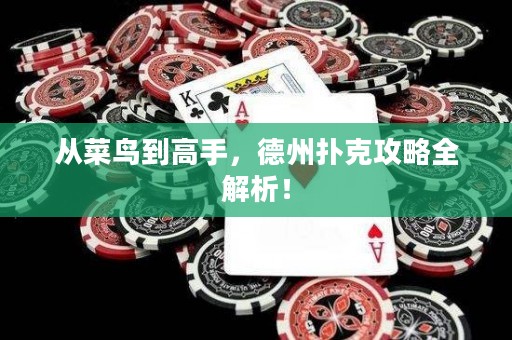 从菜鸟到高手，德州扑克攻略全解析！