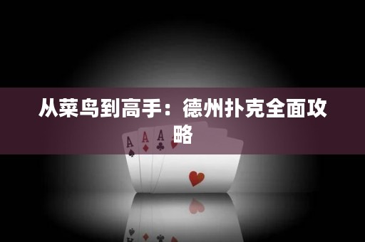 从菜鸟到高手：德州扑克全面攻略