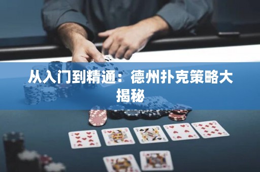 从入门到精通：德州扑克策略大揭秘
