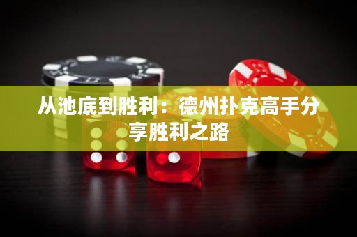 从池底到胜利：德州扑克高手分享胜利之路