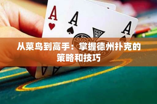 从菜鸟到高手：掌握德州扑克的策略和技巧