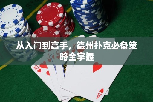 从入门到高手，德州扑克必备策略全掌握
