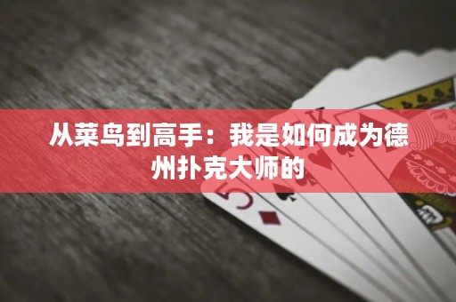 从菜鸟到高手：我是如何成为德州扑克大师的