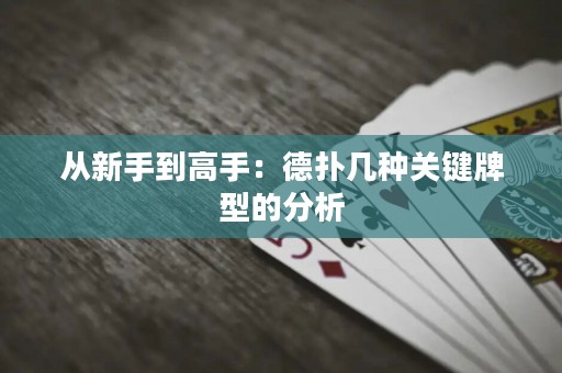 从新手到高手：德扑几种关键牌型的分析