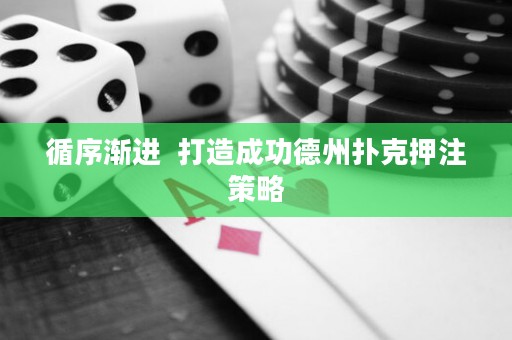 循序渐进  打造成功德州扑克押注策略