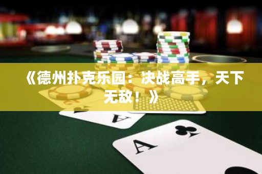 《德州扑克乐园：决战高手，天下无敌！》