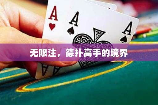 无限注，德扑高手的境界