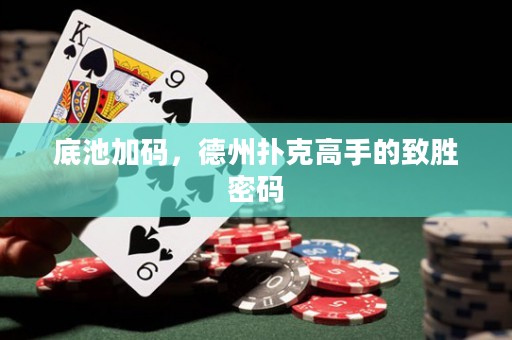 底池加码，德州扑克高手的致胜密码