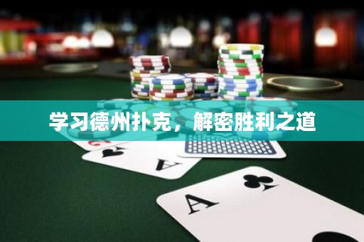 学习德州扑克，解密胜利之道