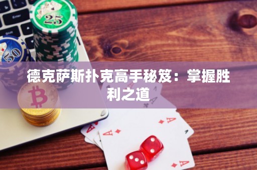 德克萨斯扑克高手秘笈：掌握胜利之道