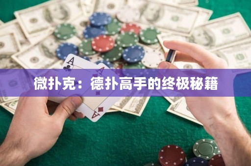 微扑克：德扑高手的终极秘籍