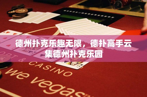 德州扑克乐趣无限，德扑高手云集德州扑克乐园