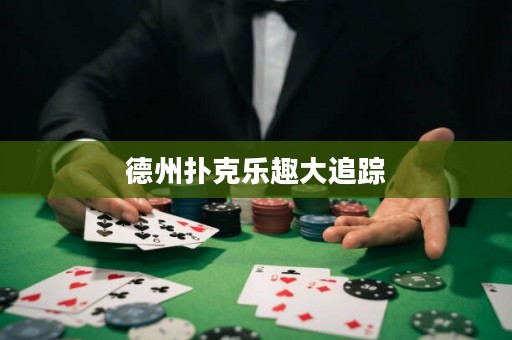 德州扑克乐趣大追踪