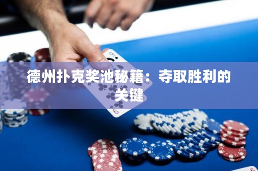 德州扑克奖池秘籍：夺取胜利的关键