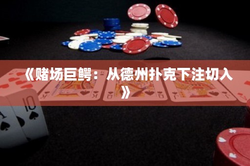 《赌场巨鳄：从德州扑克下注切入》