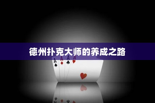 德州扑克大师的养成之路
