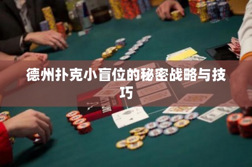德州扑克小盲位的秘密战略与技巧