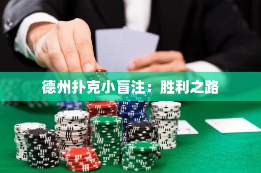 德州扑克小盲注：胜利之路
