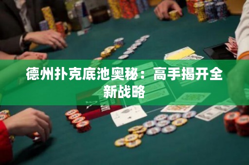德州扑克底池奥秘：高手揭开全新战略
