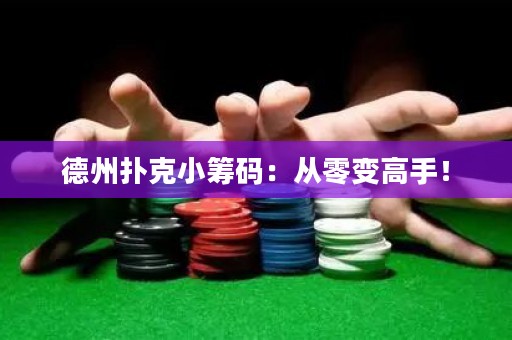 德州扑克小筹码：从零变高手！