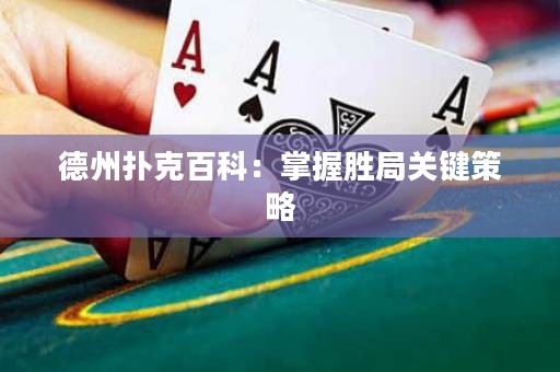 德州扑克百科：掌握胜局关键策略