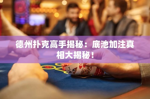 德州扑克高手揭秘：底池加注真相大揭秘！