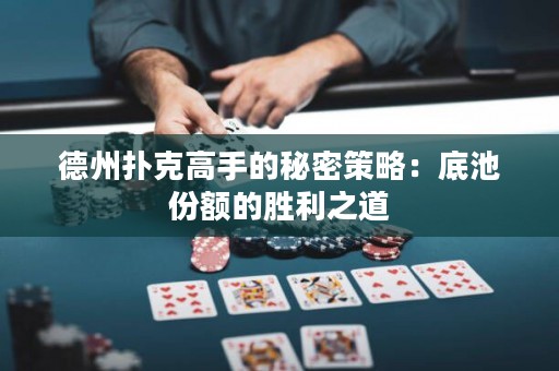 德州扑克高手的秘密策略：底池份额的胜利之道