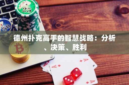 德州扑克高手的智慧战略：分析、决策、胜利