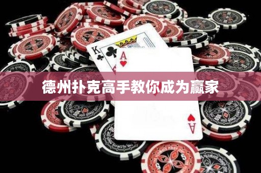 德州扑克高手教你成为赢家