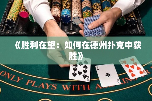 《胜利在望：如何在德州扑克中获胜》