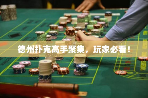 德州扑克高手聚集，玩家必看！