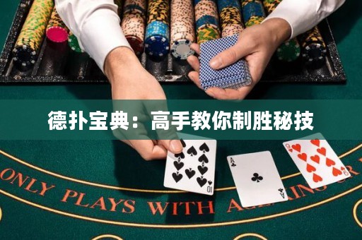 德扑宝典：高手教你制胜秘技