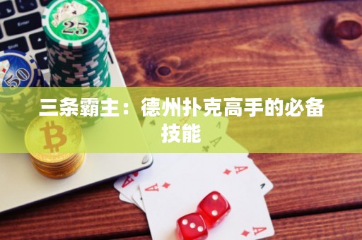 三条霸主：德州扑克高手的必备技能