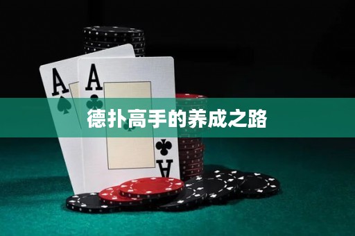 德扑高手的养成之路