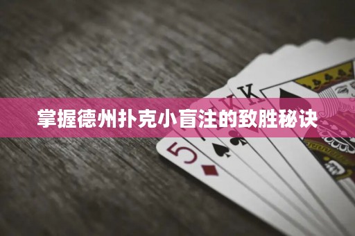 掌握德州扑克小盲注的致胜秘诀