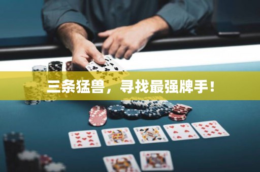 三条猛兽，寻找最强牌手！