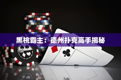 黑桃霸主：德州扑克高手揭秘