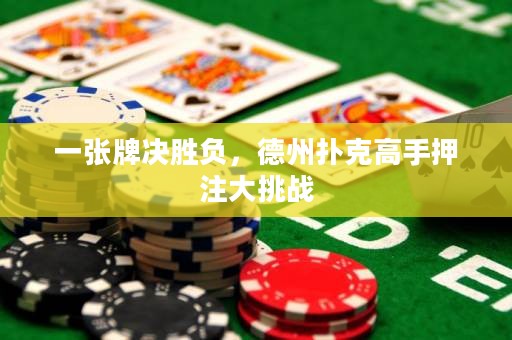 一张牌决胜负，德州扑克高手押注大挑战
