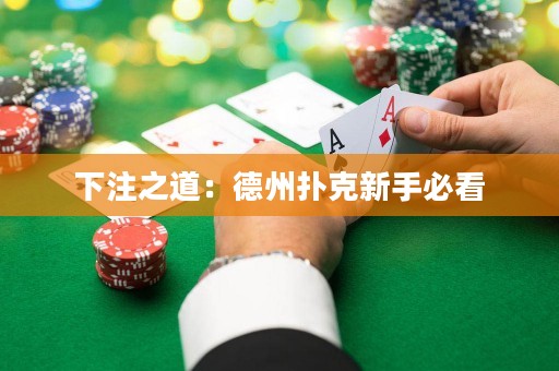 下注之道：德州扑克新手必看