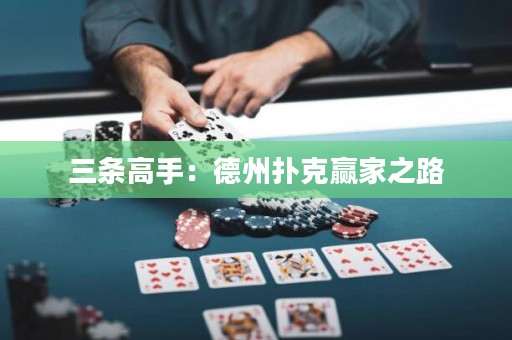 三条高手：德州扑克赢家之路