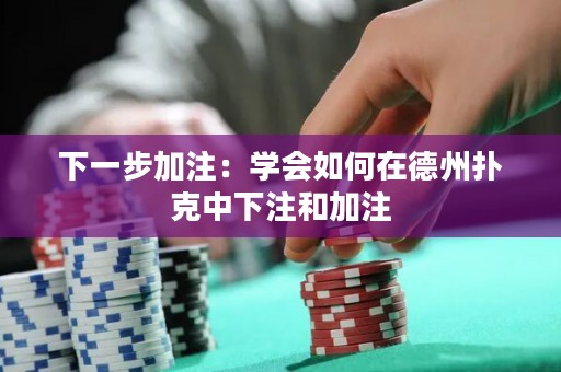 下一步加注：学会如何在德州扑克中下注和加注